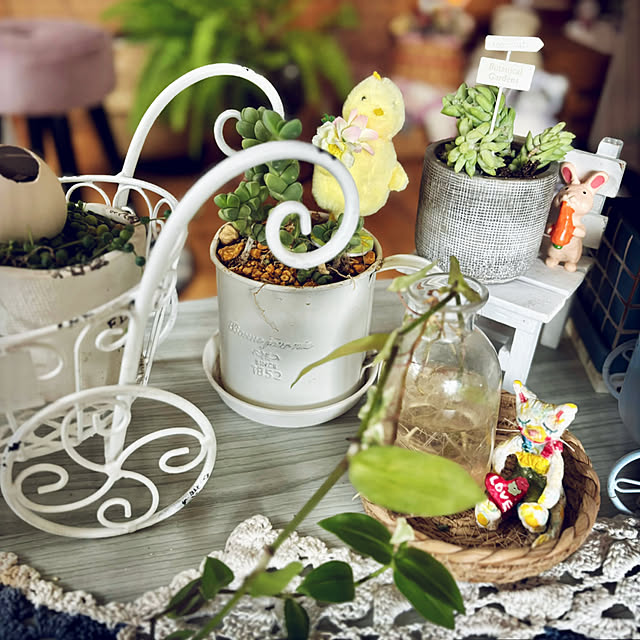 CoCo0617さんの部屋