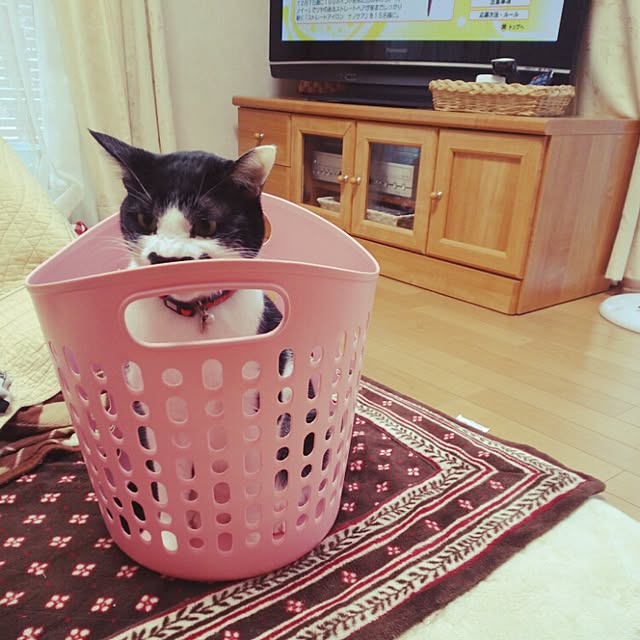 oliveさんの実例写真