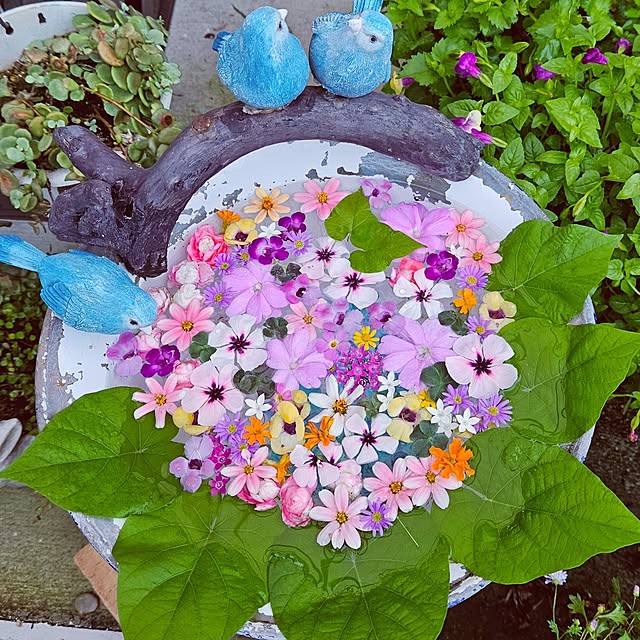 mocomocoさんの実例写真