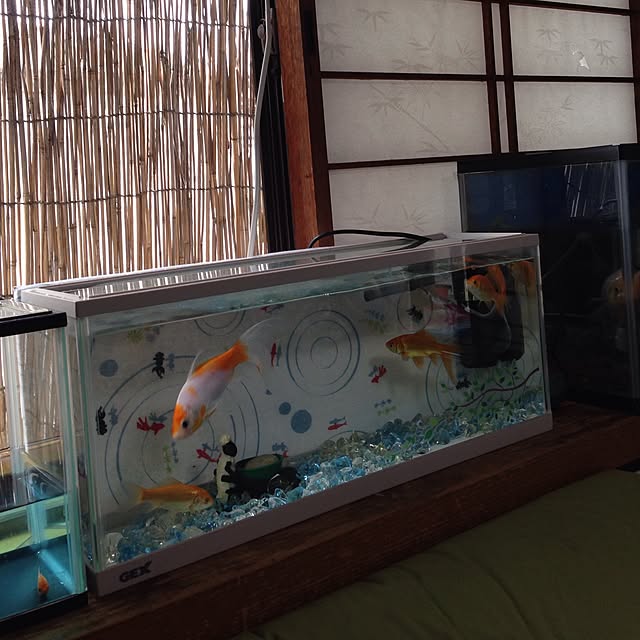 okadajapanさんの実例写真