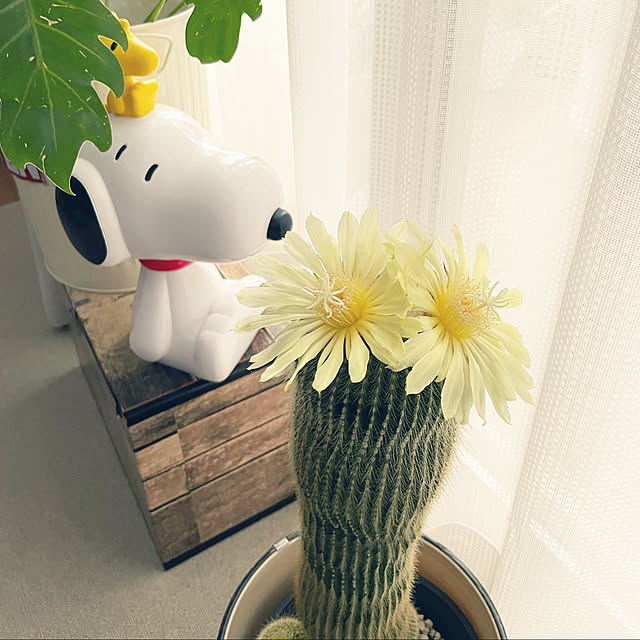 marinkoさんの実例写真