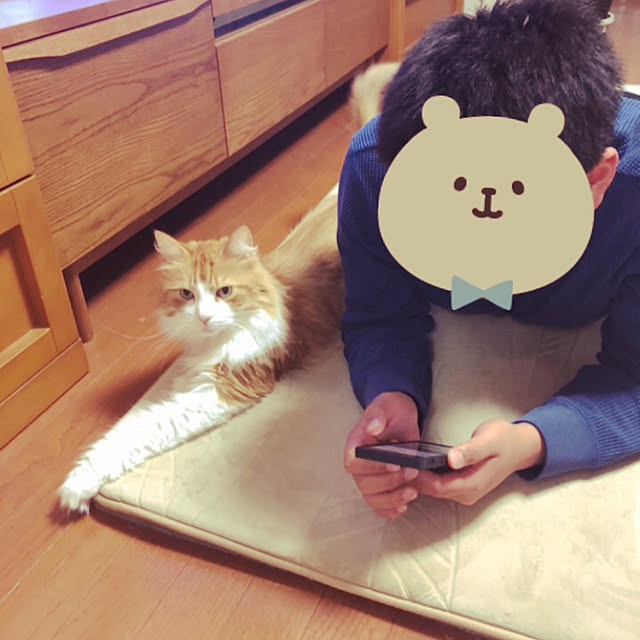 uchidaizuさんの実例写真