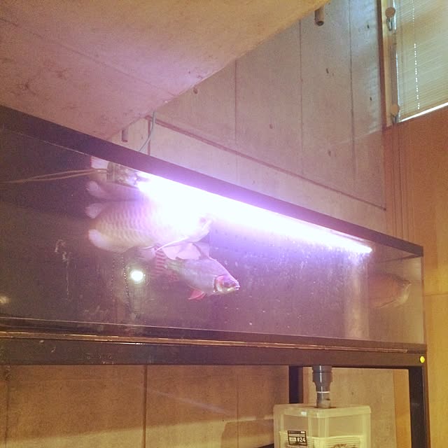 xxnenehcherryxxさんの実例写真