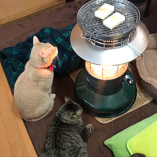 mikan161さんの実例写真