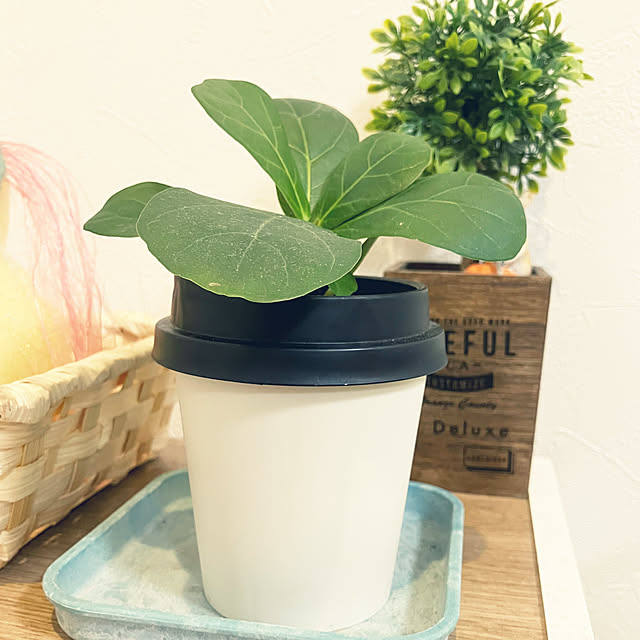 keep_patienceさんの部屋