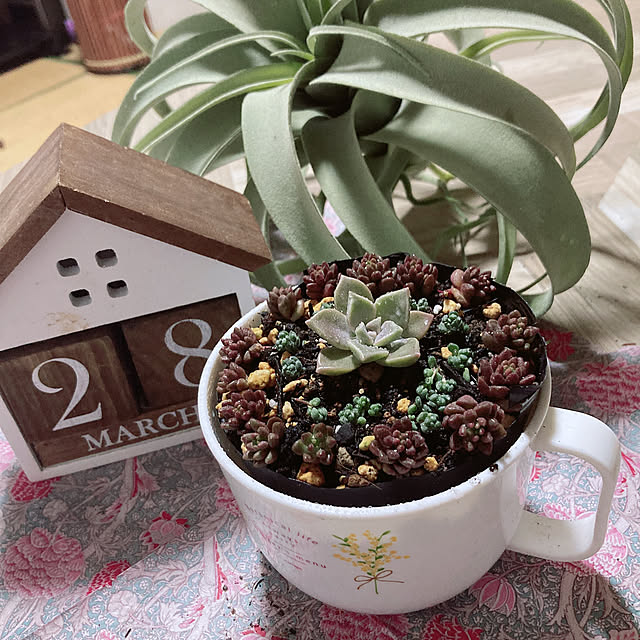shoさんの部屋