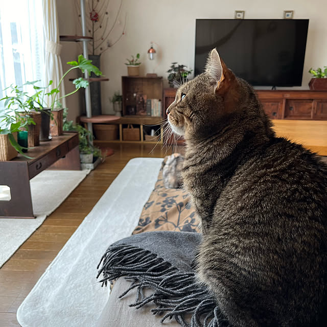 kuuさんの部屋