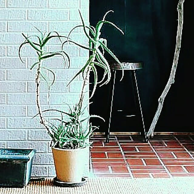 shige0922さんの実例写真