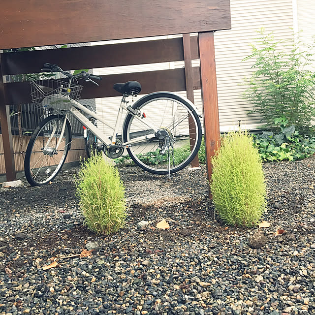 実例写真