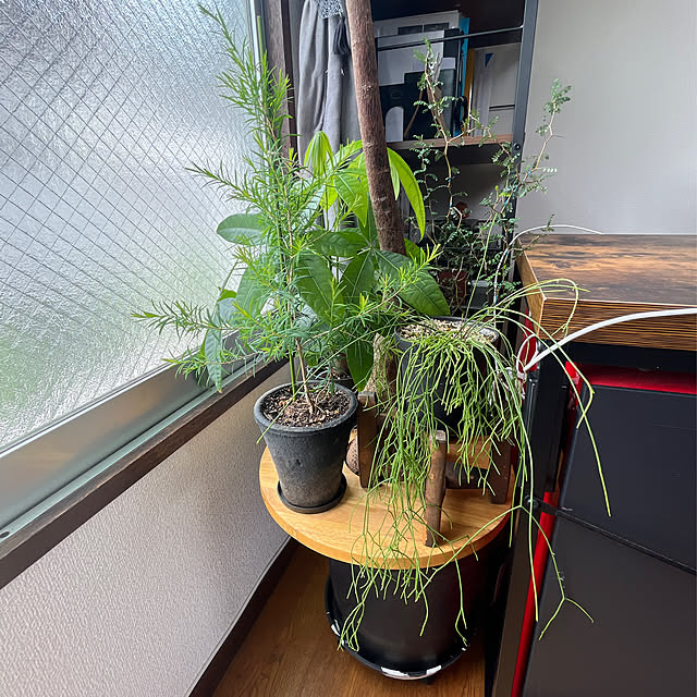 aoiさんの部屋