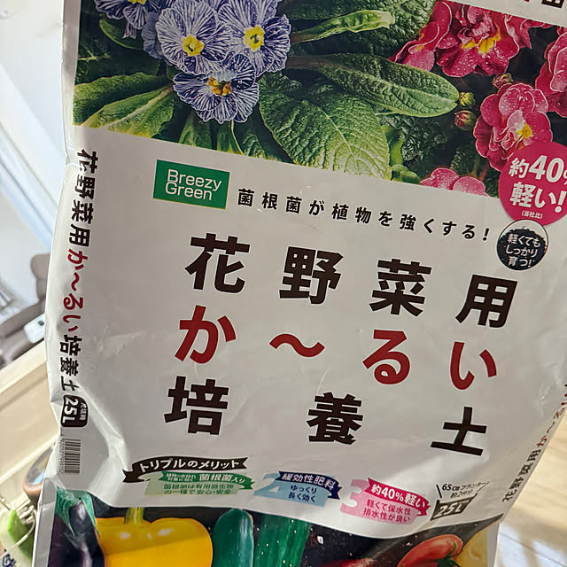 comさんの部屋