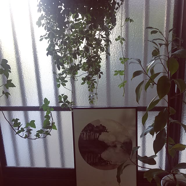 ayankoさんの実例写真