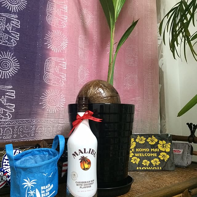 ohanaさんの実例写真