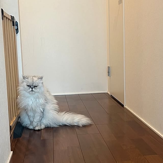 Renさんの部屋