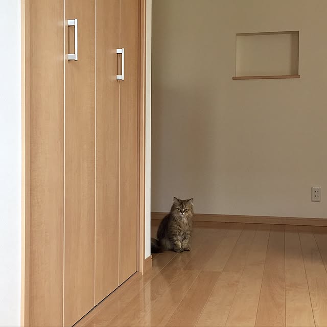 butachanさんの実例写真