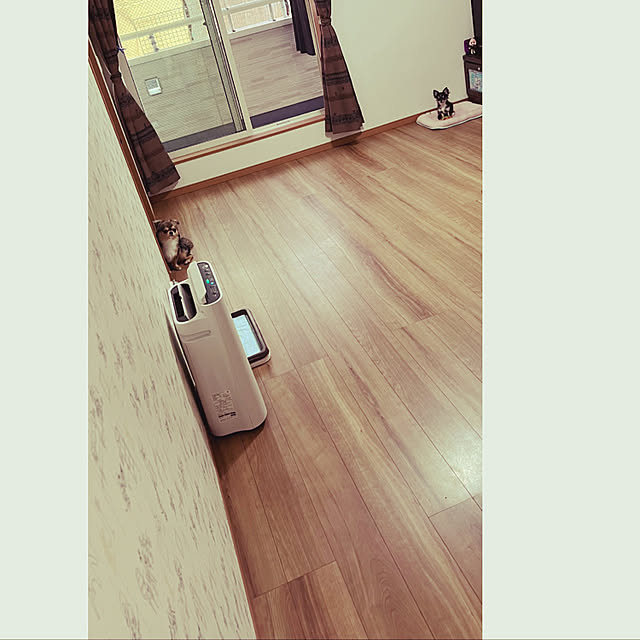 ディズニー/犬と暮らす/狭いけど諦めない！/いいね&フォローありがとうございます☆/こどもと暮らす...などのインテリア実例 - 2022-09-27 16:54:45