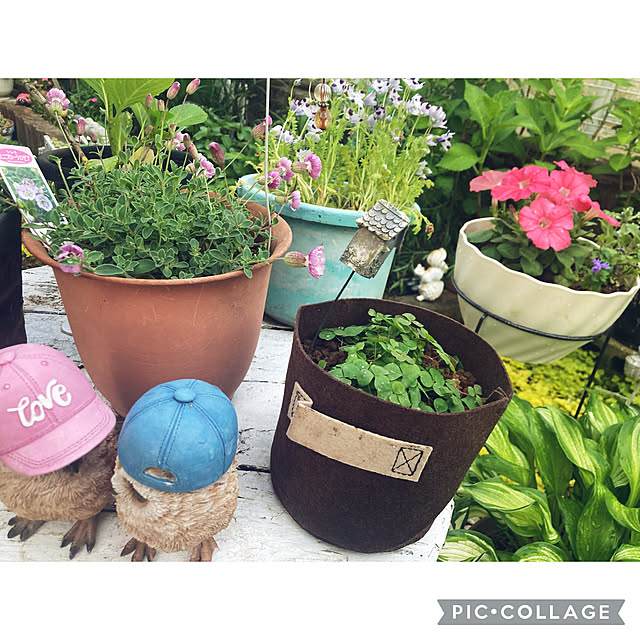 CoCo0617さんの部屋
