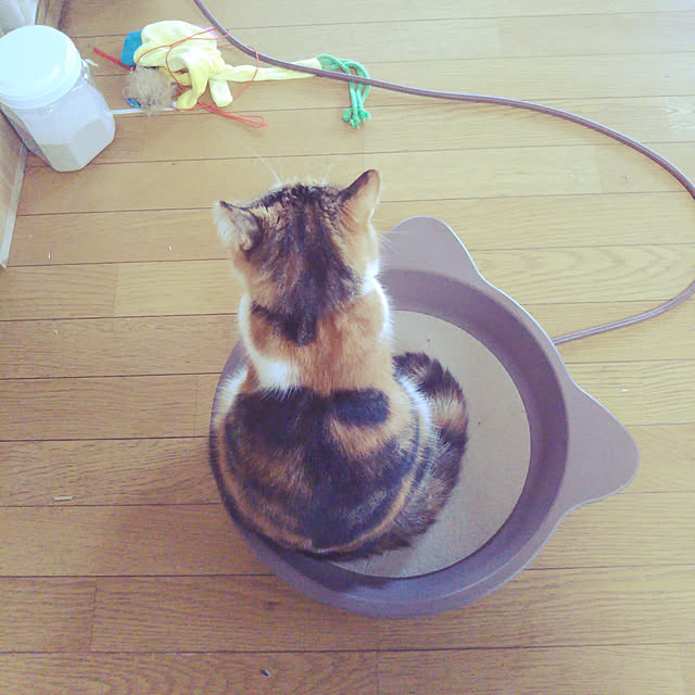 yukieさんの実例写真