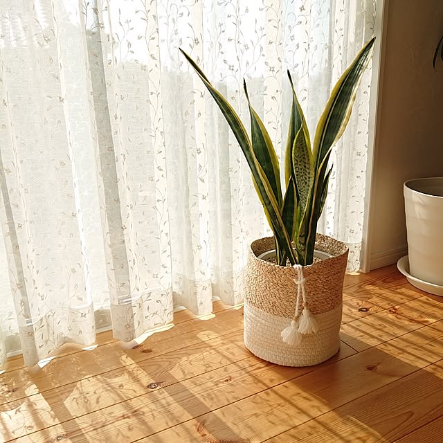 ri-eさんの実例写真