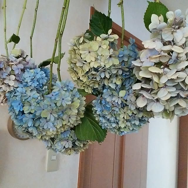 yum0408さんの実例写真