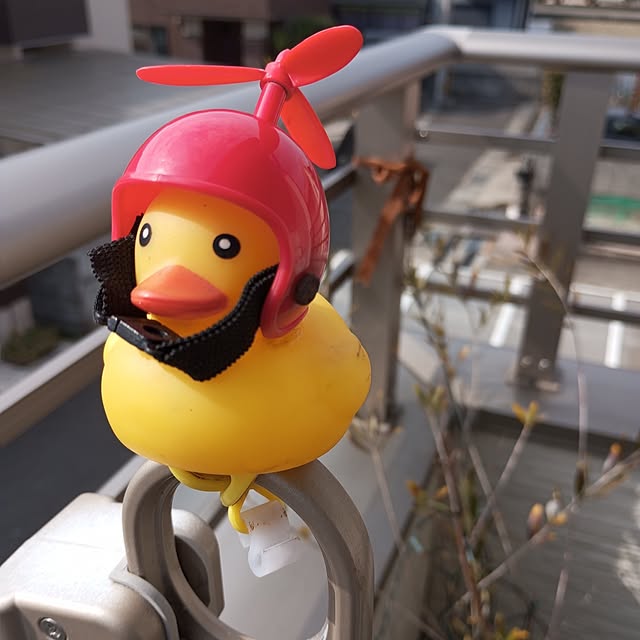ku-koさんの実例写真