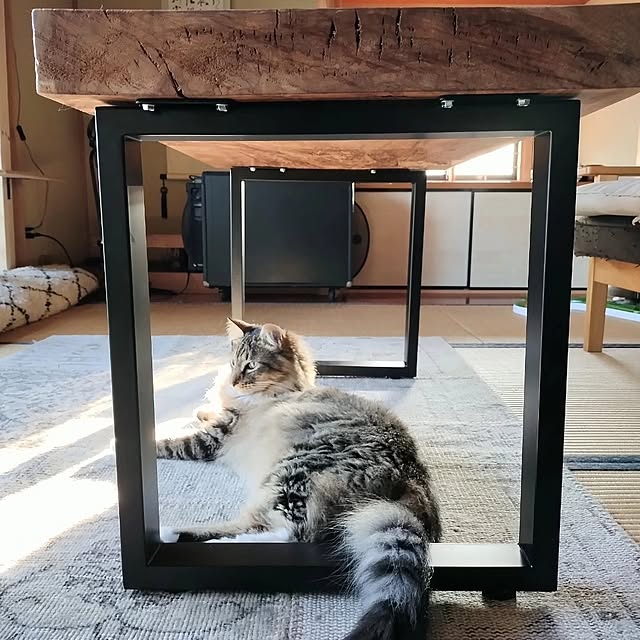 aya_meさんの部屋