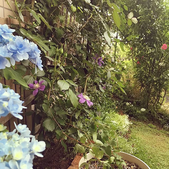 yuriさんの実例写真