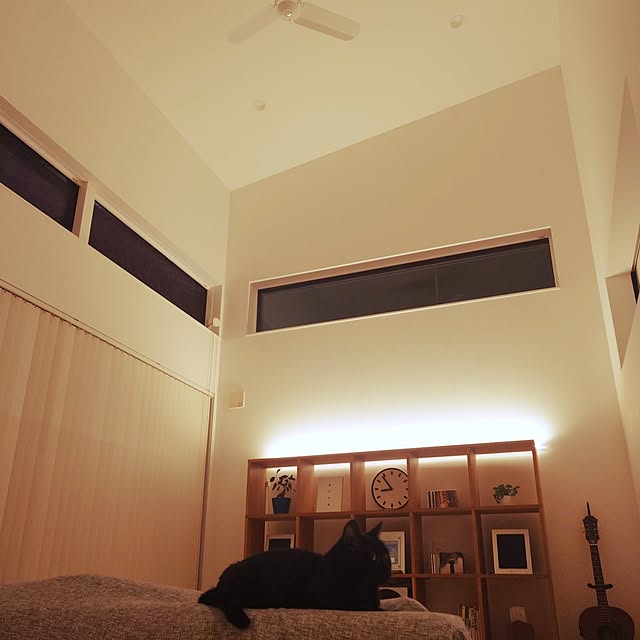 Blackcatさんの実例写真