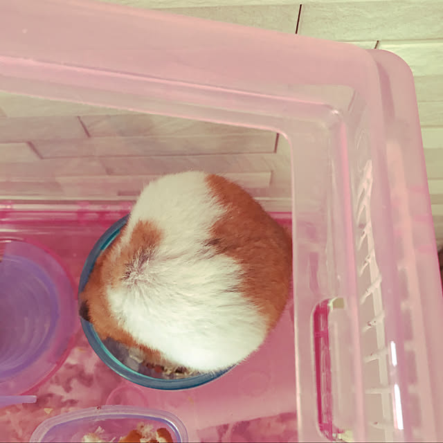 miiさんの実例写真