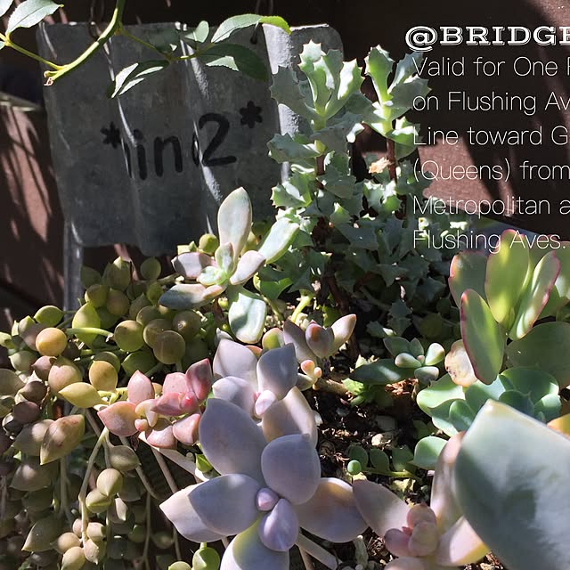 bridge2080さんの実例写真