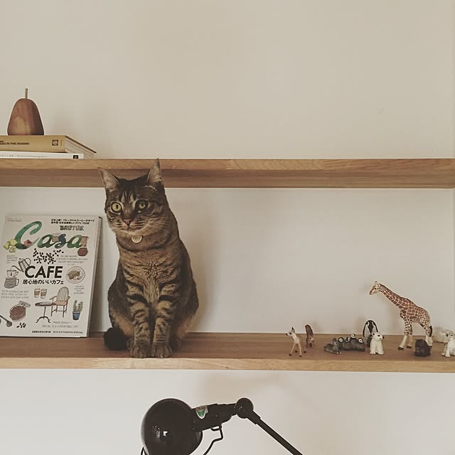 otatsu611さんの実例写真