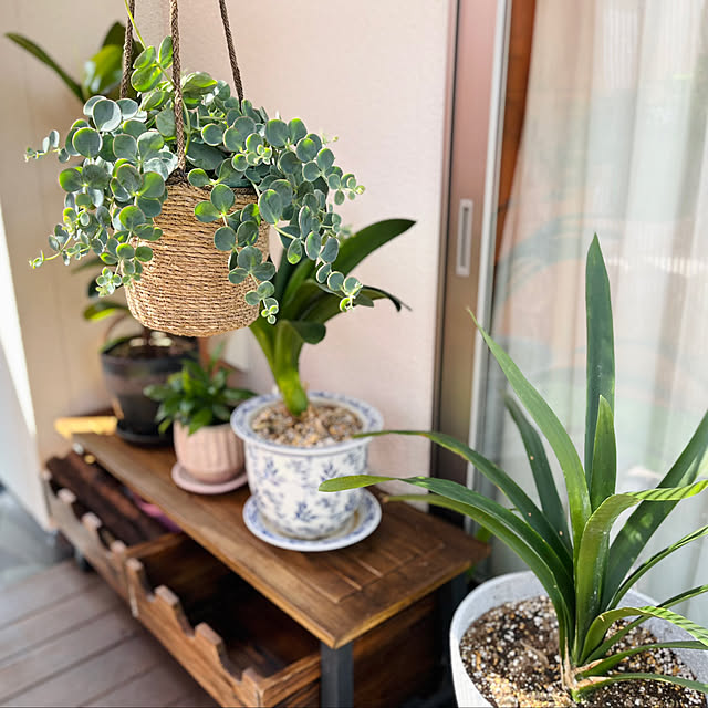 Maruさんの部屋