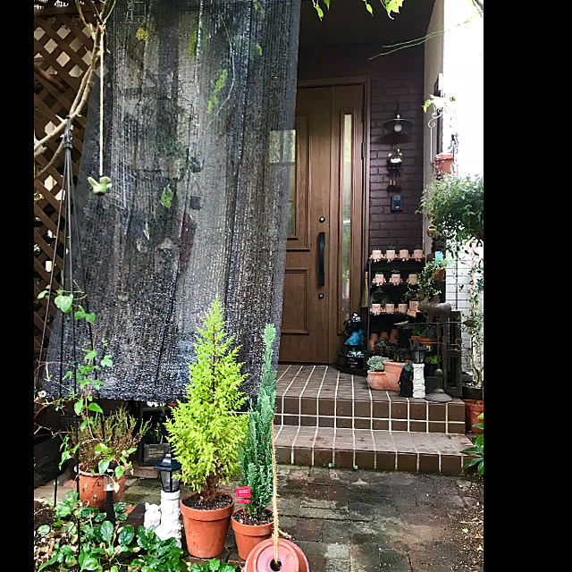 butachanさんの実例写真
