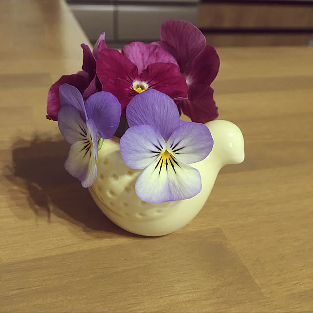 Mikiさんの実例写真