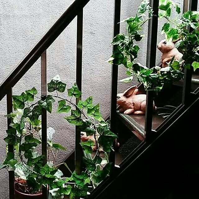 minasaboさんの実例写真