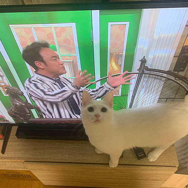 keiさんの実例写真