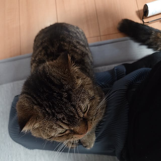 noguriさんの部屋