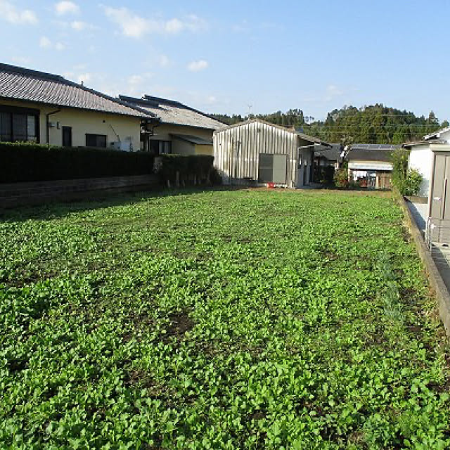 Caiforniaさんの実例写真