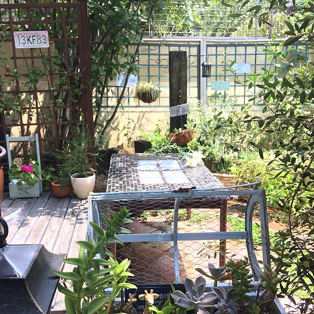 amiさんの実例写真