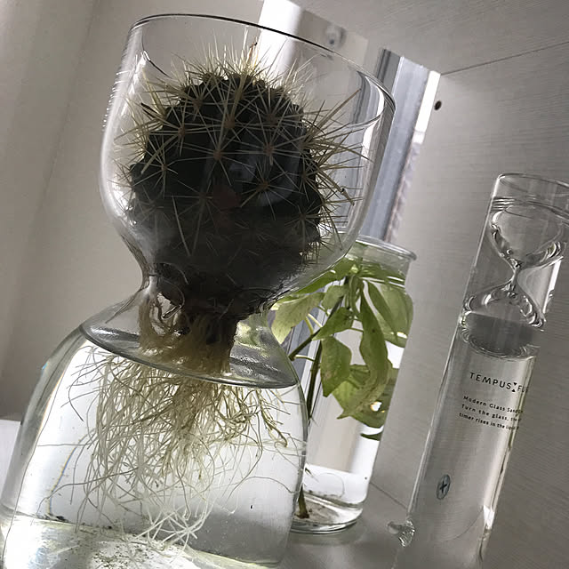SnSさんの実例写真