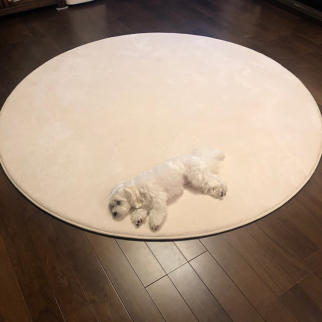 sakuraさんの実例写真
