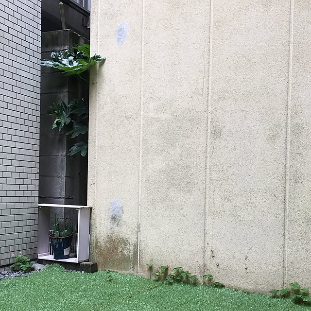 sei.hugさんの実例写真