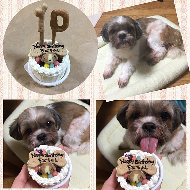 kojiro120513さんの実例写真