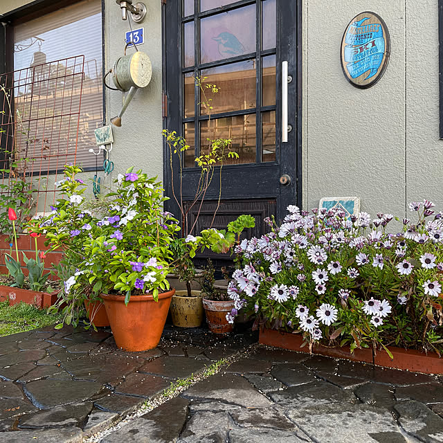 shin0719さんの部屋