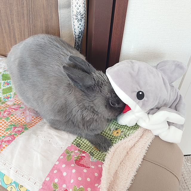 kirariさんの実例写真