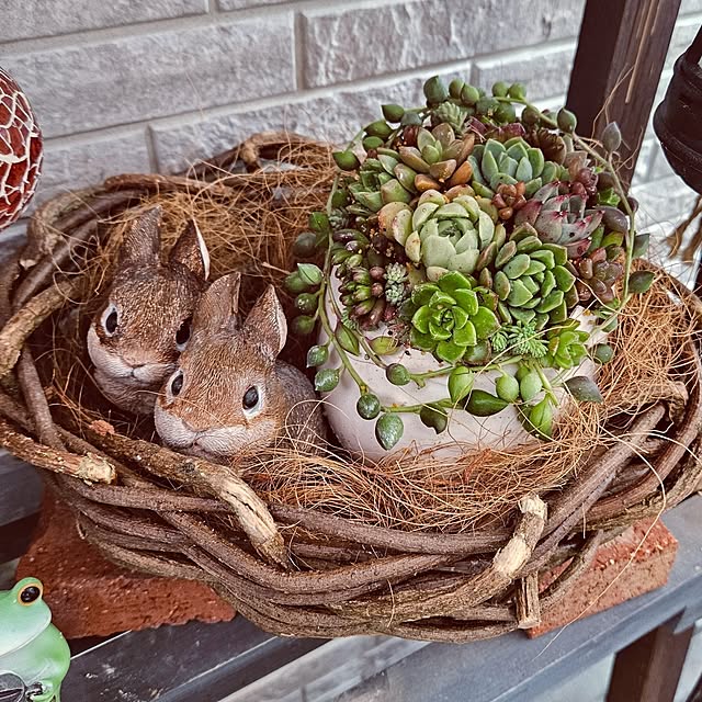 mocomocoさんの部屋