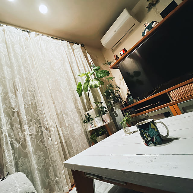 moolさんの部屋