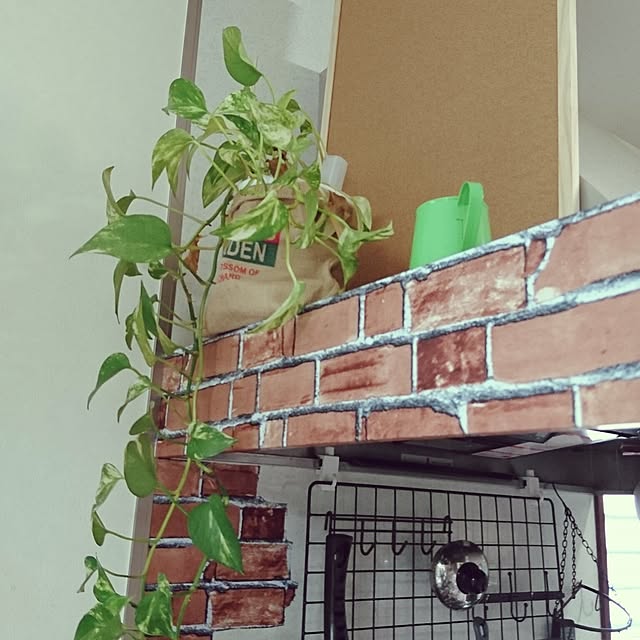 実例写真