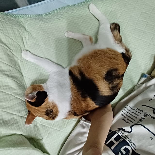 nanaさんの部屋
