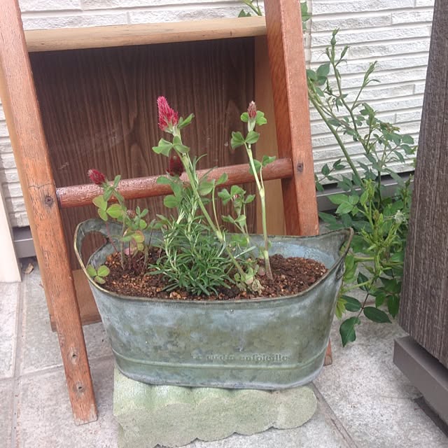 izuhanさんの実例写真
